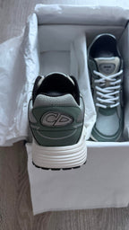 Dior B30 – Sage Green / Grey