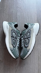 Dior B30 – Sage Green / Grey