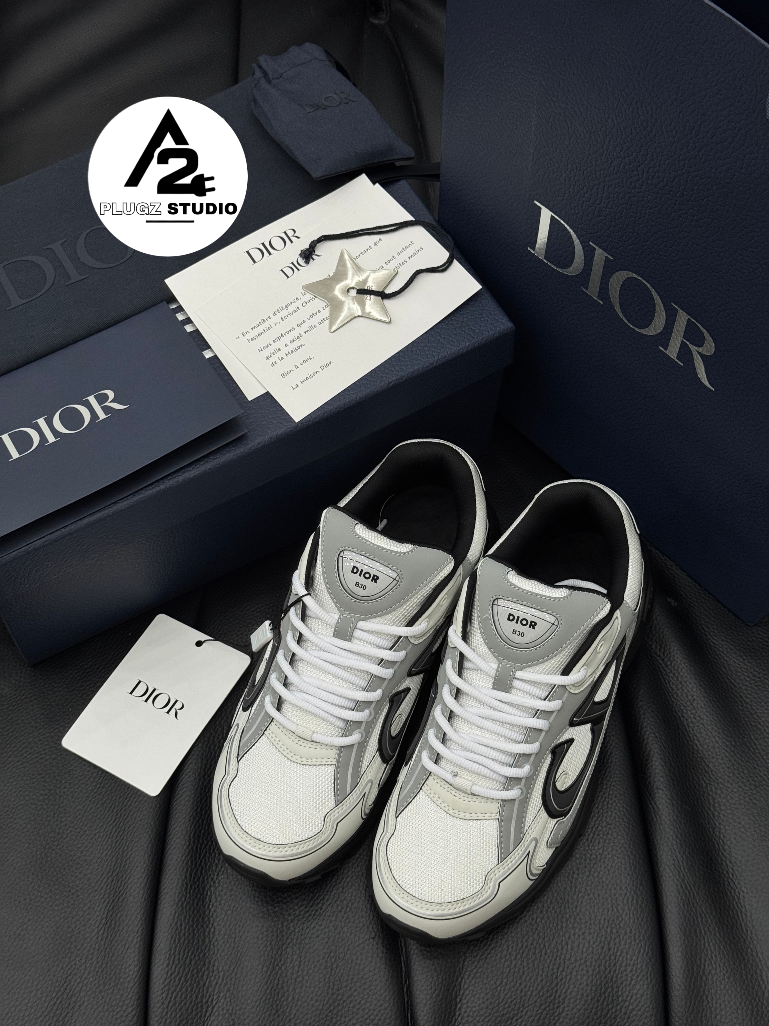 Dior B30 – White / Grey / Black