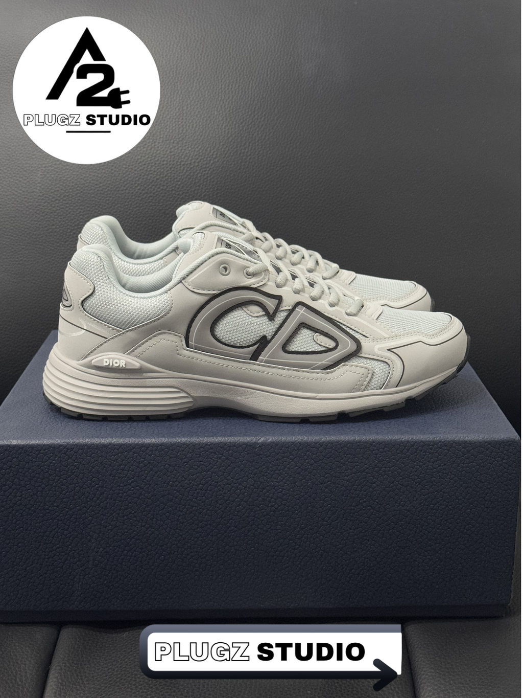 Dior B30 – White / Grey